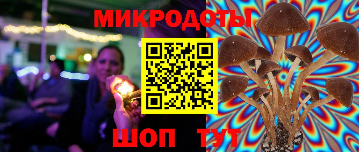 Псилоцибиновые грибы Psilocybine cubensis  купить   Советская Гавань  Вход с VPN 