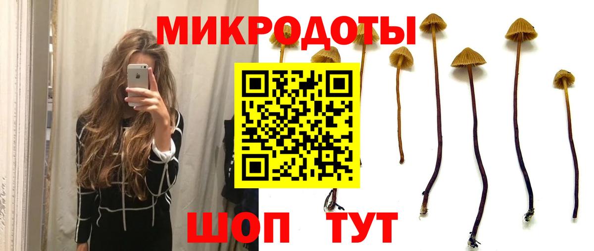 Псилоцибиновые грибы GOLDEN TEACHER Советская Гавань
